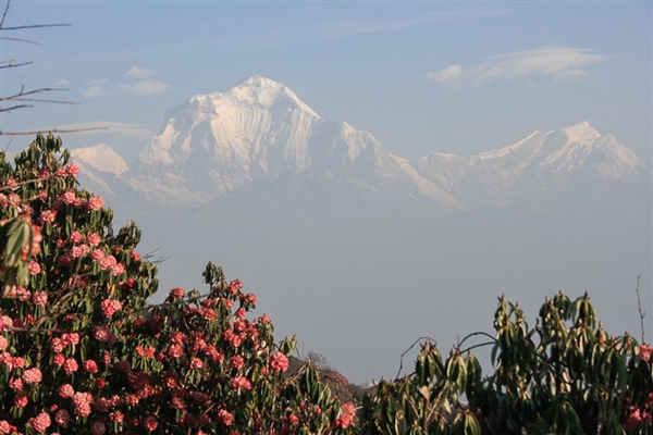 Nepal - Annapurna